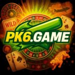 PK6 Game APK